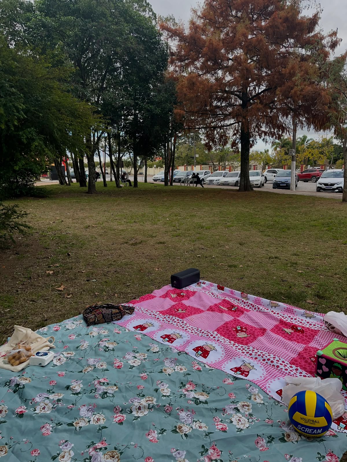 Piquenique ao ar livre em praça de Bagé para atividades do projeto de extensão.
